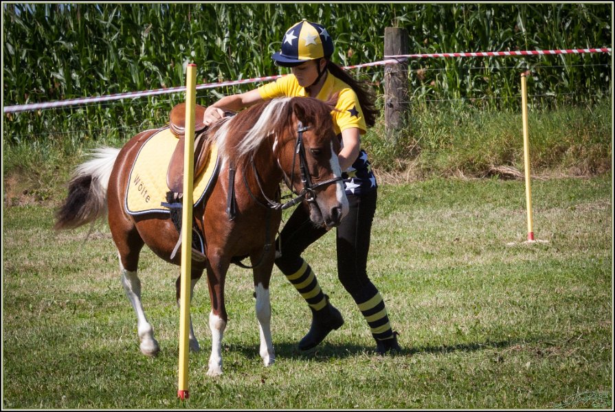 Mounted Games 048